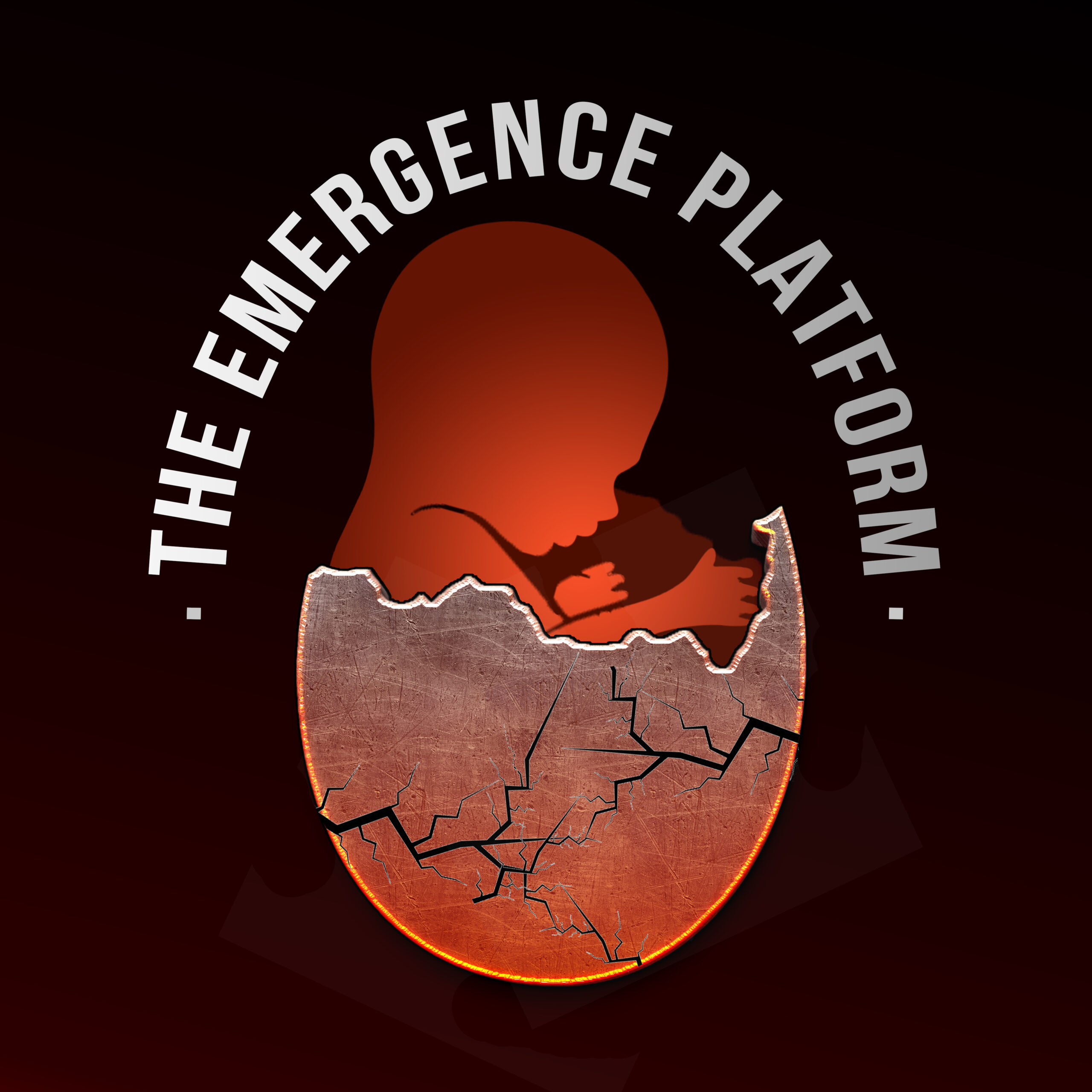 The Emergence Platform